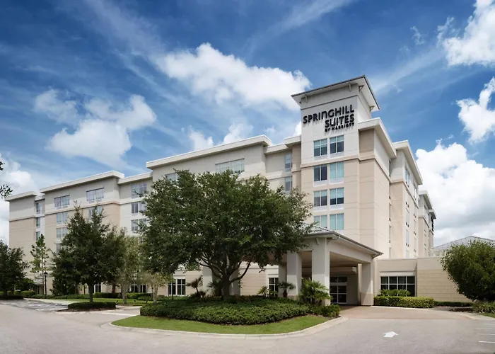 Ping pong hotels Springhill Suites By Marriott Orlando At Flamingo Crossings Town Center-Western Entrance